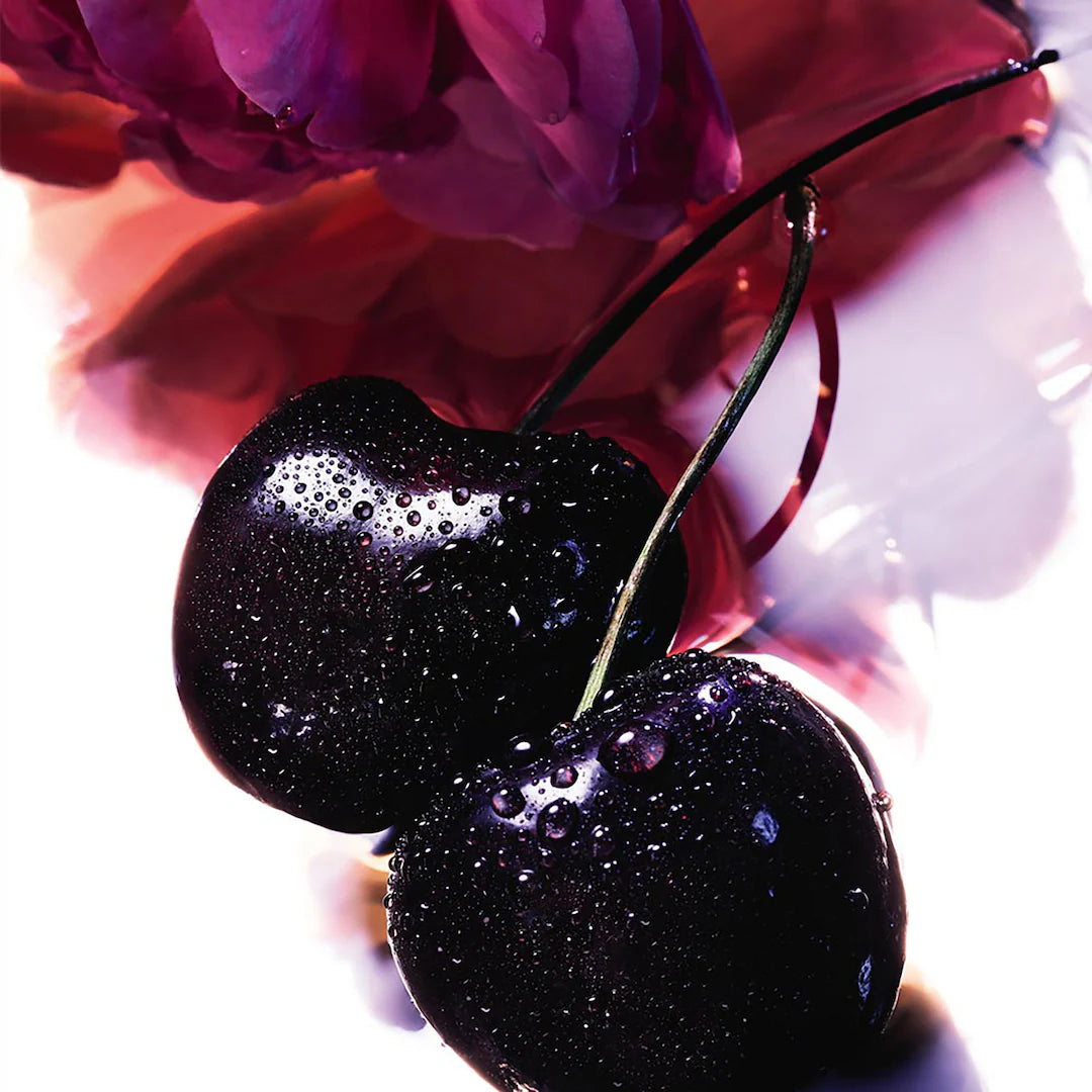 LA PETITE ROBE NOIRE